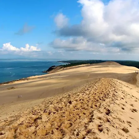 펜션 La Cle Des Vignes